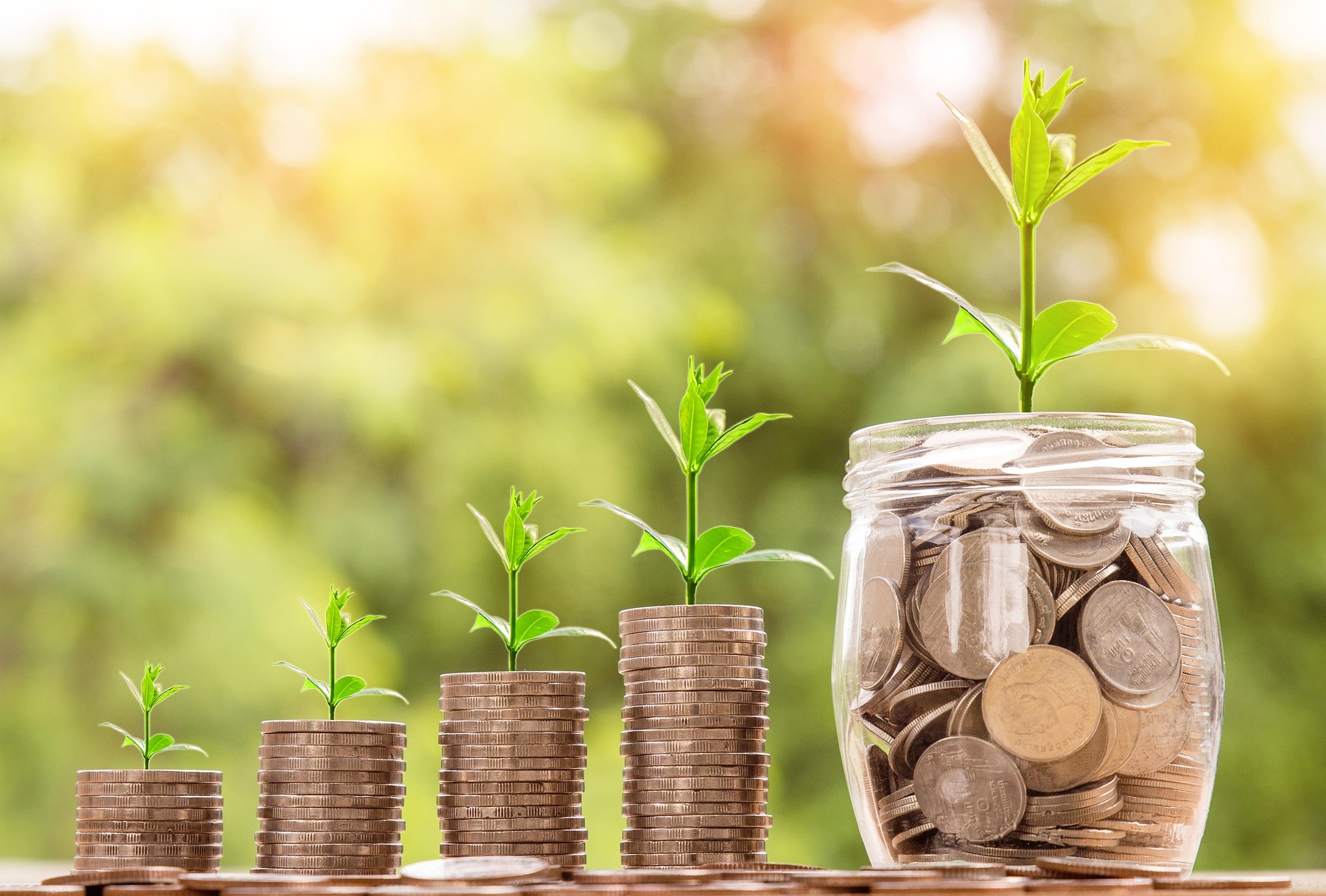 Visual MoneyFlow: painel e ambiente do produto